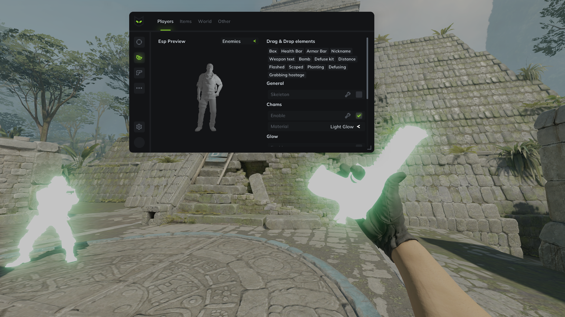 Counter-Strike 2 Wallhack in Action